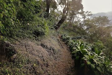 Hiking