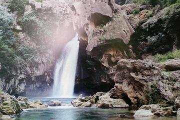 Photo 35