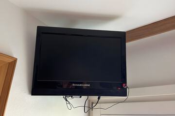 Television