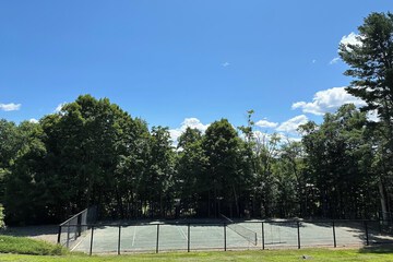 Tennis court