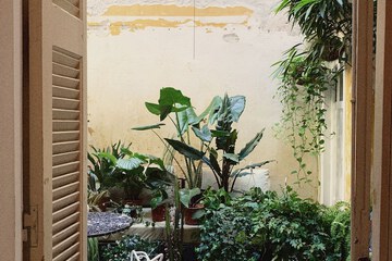Garden view