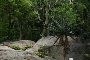 Photo 50