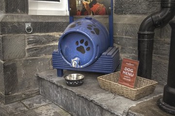Pet-friendly
