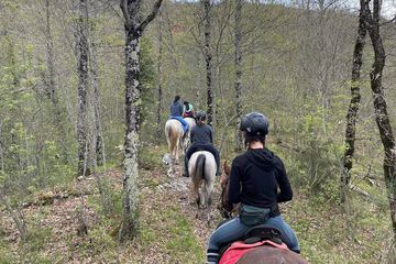 Horseback riding