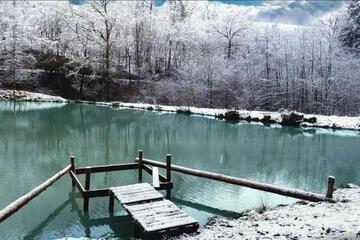 Photo 48
