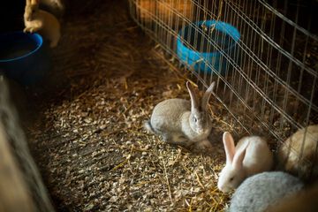 Children's activities