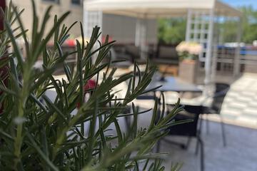 Sundeck