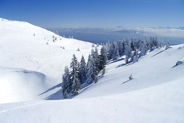 Skiing