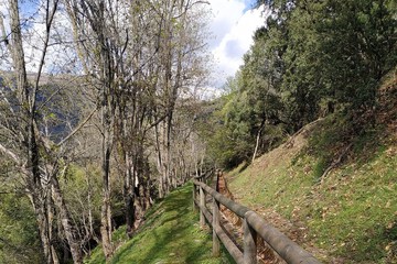 Hiking
