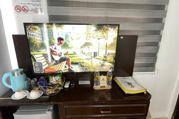 Television