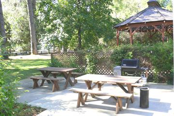 BBQ/picnic area