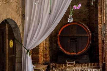 Outdoor wedding area