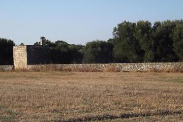 Photo 55