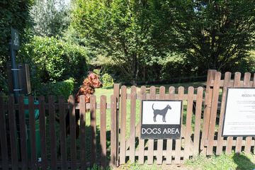 Pet-friendly