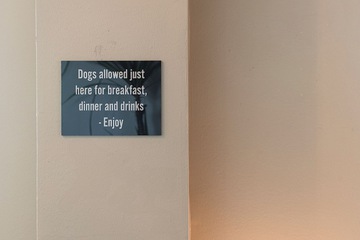 Pet-friendly