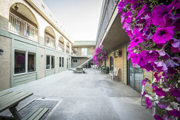 Courtyard