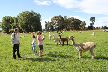 Ecotours