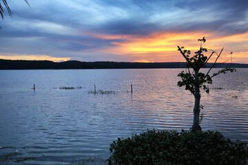 Lake view