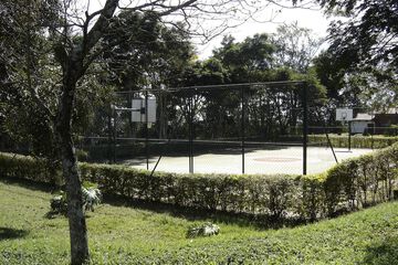 Basketball court