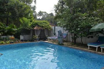 Photo 19