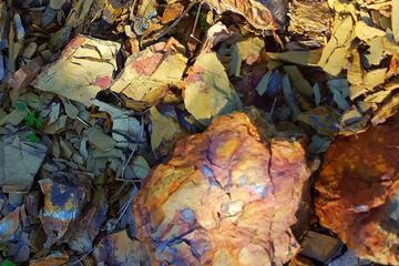 Photo 30