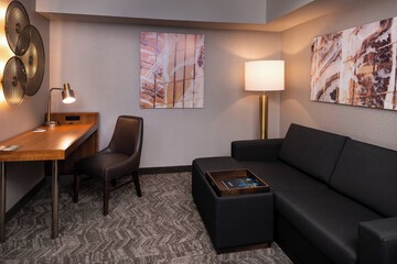 Springhill Suites by Marriott Pittsburgh North Shore