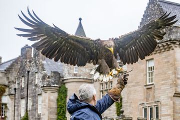 Game viewing