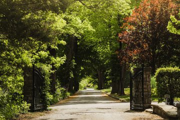 Property Grounds 76 of 78