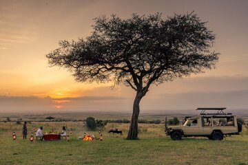 Game drive