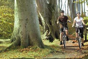 Bicycling