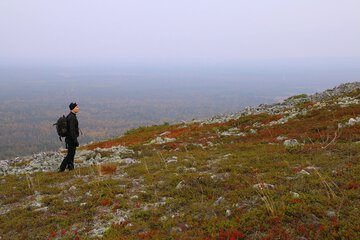 Hiking