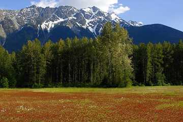 Mountain view