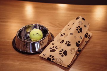 Pet-friendly amenities