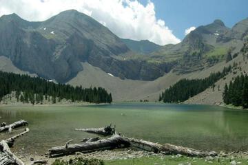 Photo 28