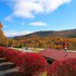 Smoketree Lodge