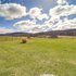 Mtn-view Studio: 18 Mi to Penn State!