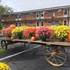 Ciancis Motel and Suites