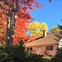 Bayside Retreat Cottage