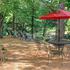 Warm + Peaceful Home w / Fire Pit on Haw River