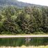 Pacific City RV & Camping Resort