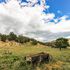 Rustler s Roost Ranch