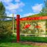 Mountain Horse Farm
