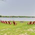 Pistakee Lake Estate w / Boat Dock & Hot Tub!