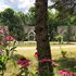 Spruce Hill Inn and Cottages