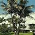 Island Goodes - Luxury Adults Only Accommodation
