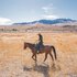 Cibolo Creek Ranch & Resort