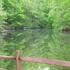 Lake Myers Lakeside Villa 18