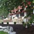 A Suite Escape Bed & Breakfast and Vacation Home