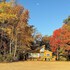 Private Beach & Deck: Spacious Lake Michigan Home