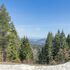Picturesque Mt. Spokane Condo Near Skiing & Biking!